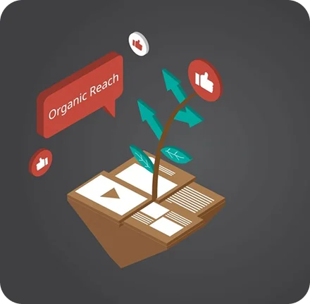 Driving Organic Traffic