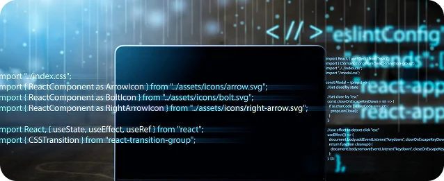 Custom Website Development