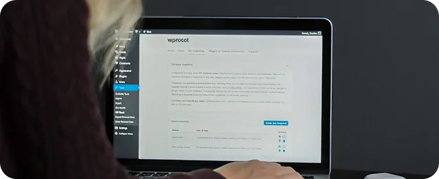 WordPress Theme Website Development