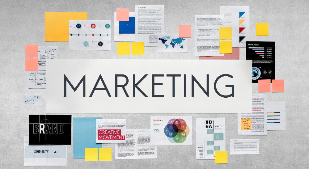 A Guide to Selecting Your Ideal Digital Marketing Agency